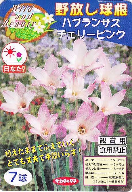 【ガーデニング】ガルちゃん園芸部【花・植物】part.12
