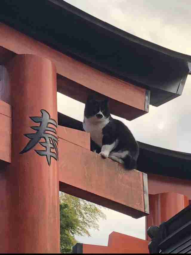 観光地の画像を貼ってどこかわかればプラスPart2