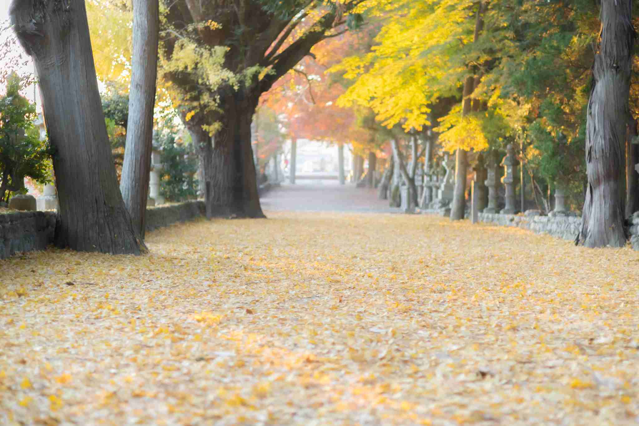 観光地の画像を貼ってどこかわかればプラスPart2