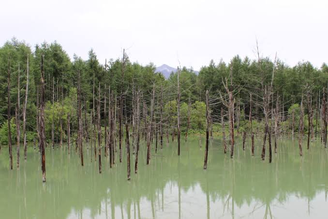 観光地の画像を貼ってどこかわかればプラスPart2
