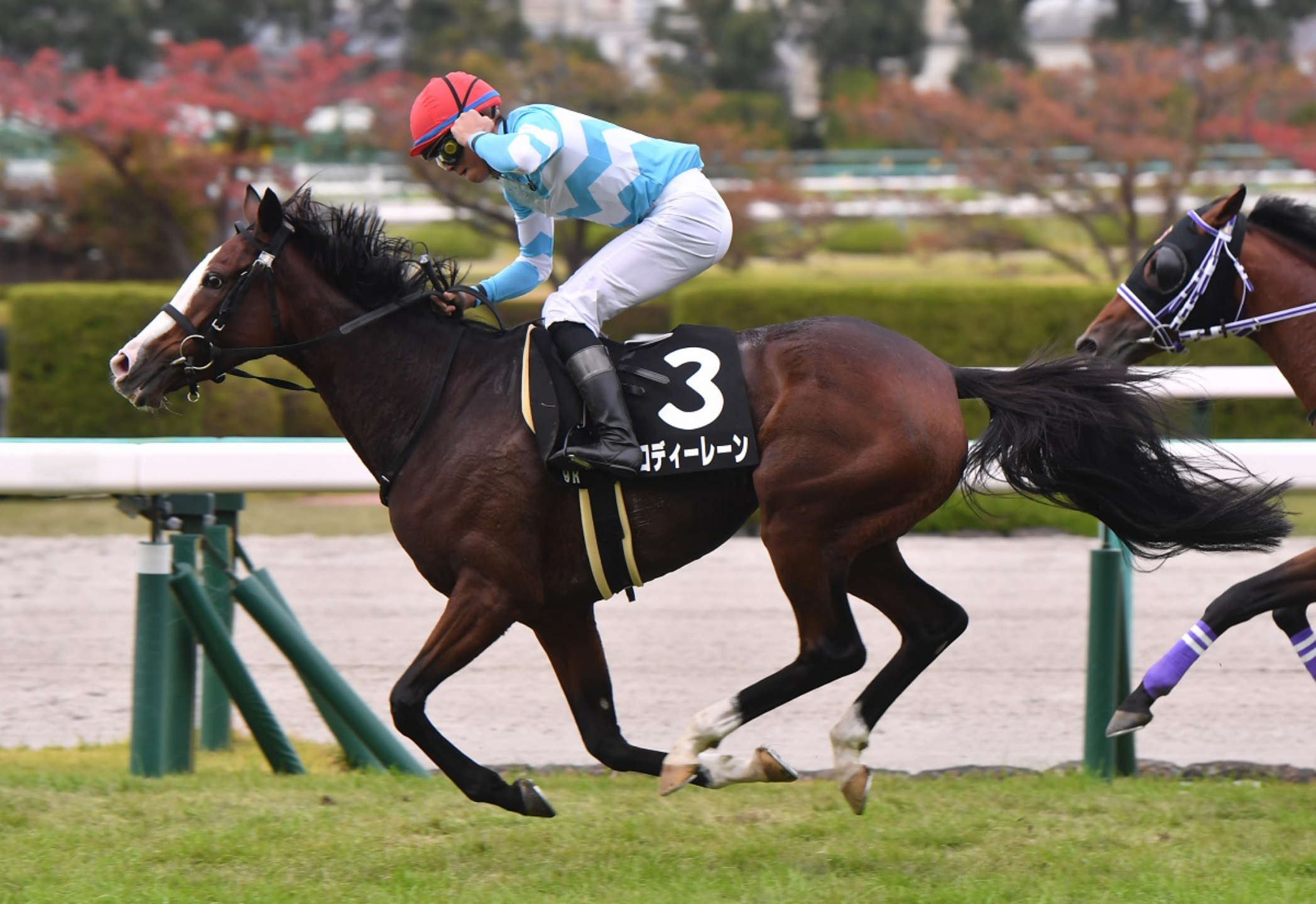 【競馬】UMAJO集まれ!Part13【G1折返し】