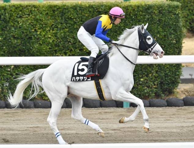 【競馬】UMAJO集まれ!Part13【G1折返し】
