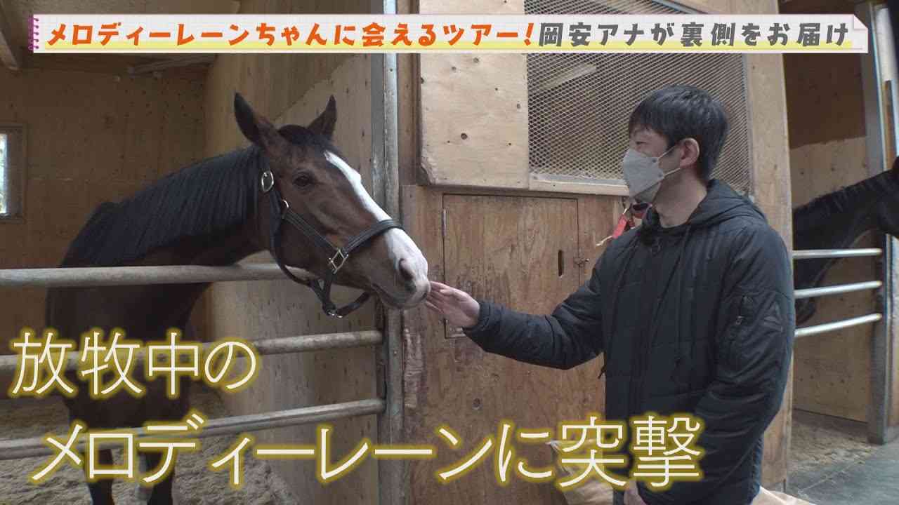 【競馬】UMAJO集まれ!Part13【G1折返し】