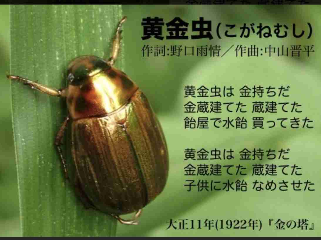 【閲覧注意】ゴキブリにひとつだけ特徴追加して許容される存在にするトピpart2