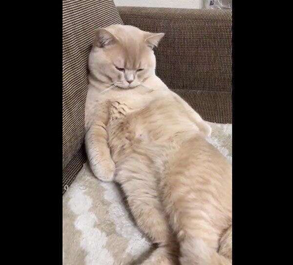 【4月】失恋総合