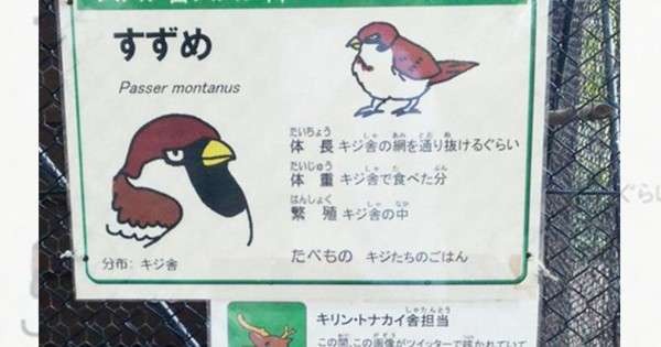 いい加減だと思った画像を貼るトピ