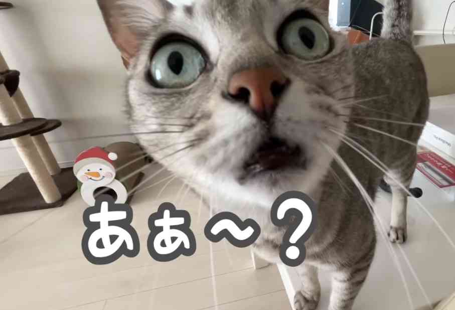 いい加減だと思った画像を貼るトピ