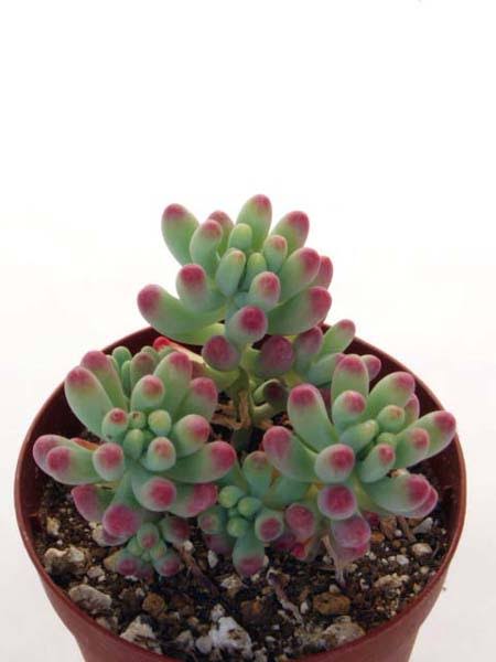 分かって欲しい女心