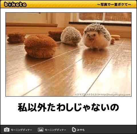 曲のタイトルの一部を誤字にして台無しにするトピ Part2
