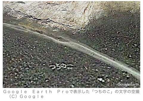 ツチノコはいると思う?