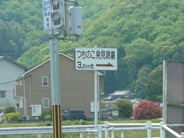 ツチノコはいると思う?