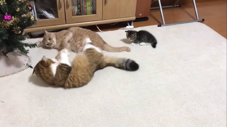 対等な人間関係が築けない