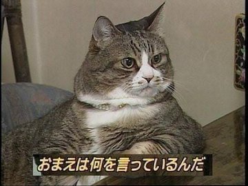 相談女ってそんなにダメですか?