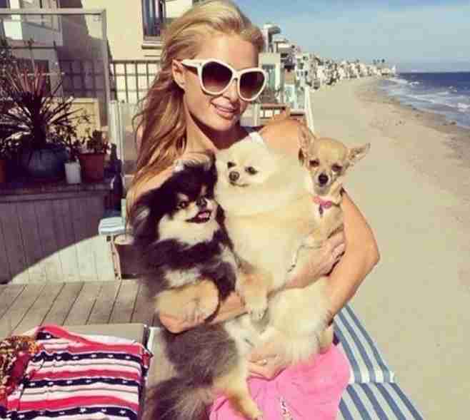 ちょっとした無駄遣いが辞められない