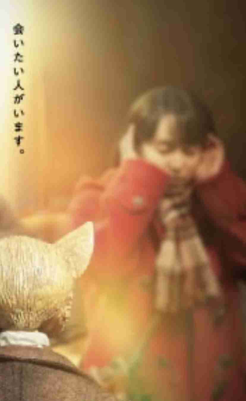 清野菜名・松坂桃李、実写映画『耳をすませば』10月14日公開決定 特報映像解禁
