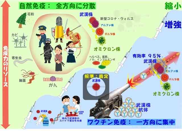 「帯状ほう疹」患者が急増 3回目接種後に発症した男性(20代)の場合は…