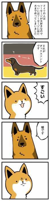 何度見てもじわじわくる画像part9