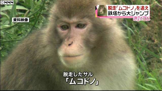 何度見てもじわじわくる画像part9