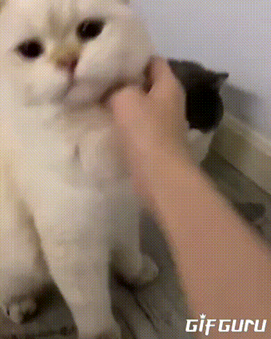 何度見てもじわじわくる画像part9