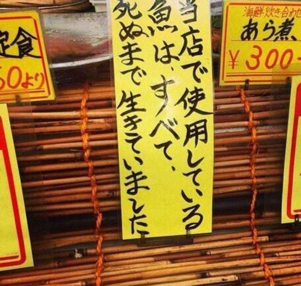 何度見てもじわじわくる画像part9