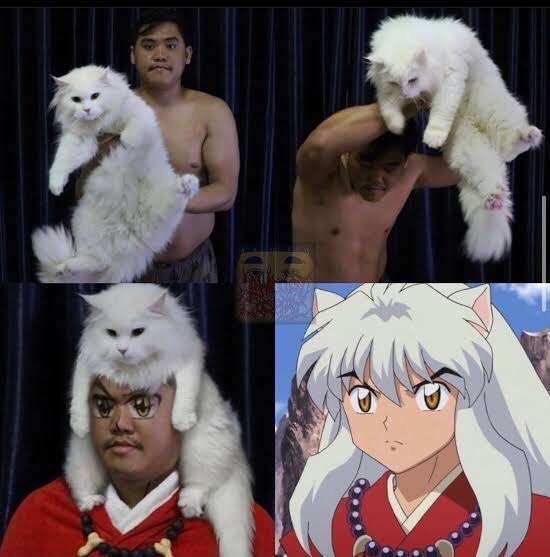 何度見てもじわじわくる画像part9