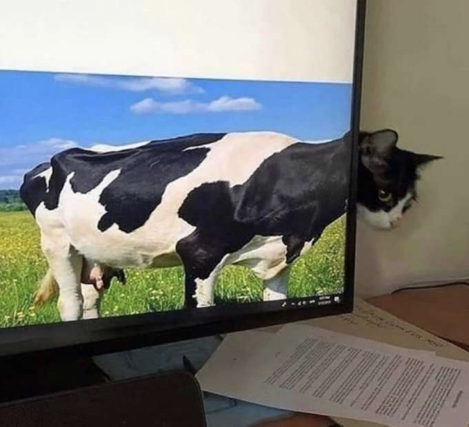 何度見てもじわじわくる画像part9