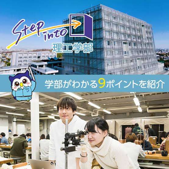 大学は何の学部がおすすめ?