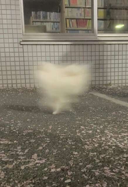 荒ぶる○○○画像を貼るトピ