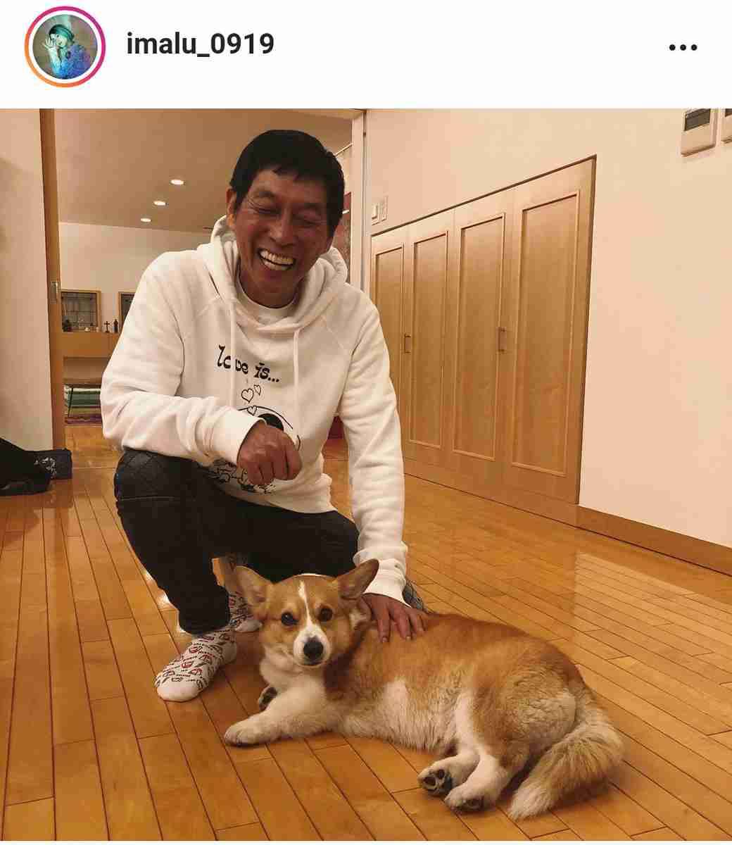 遊んでいたコーギーの子犬が、電池切れ！　飼い主が目撃した姿がコチラ