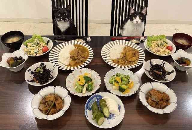 藤あや子「50歳をすぎたら努力しかない」大好きなアルコール断酒でぜい肉スッキリ