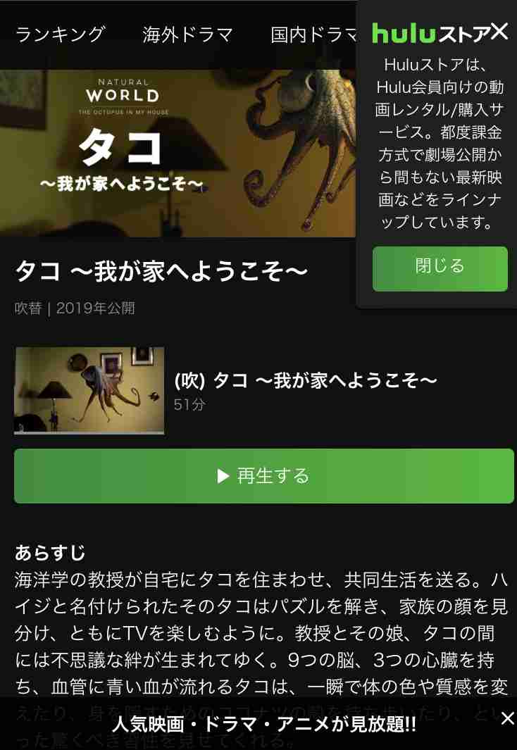 【英】BBCのオススメ番組