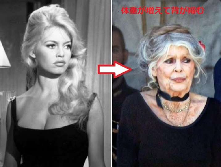 芸能人の若い頃を好きになる