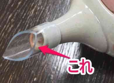 南原清隆が密かに“インスタ&YouTube”デビューしていた…!