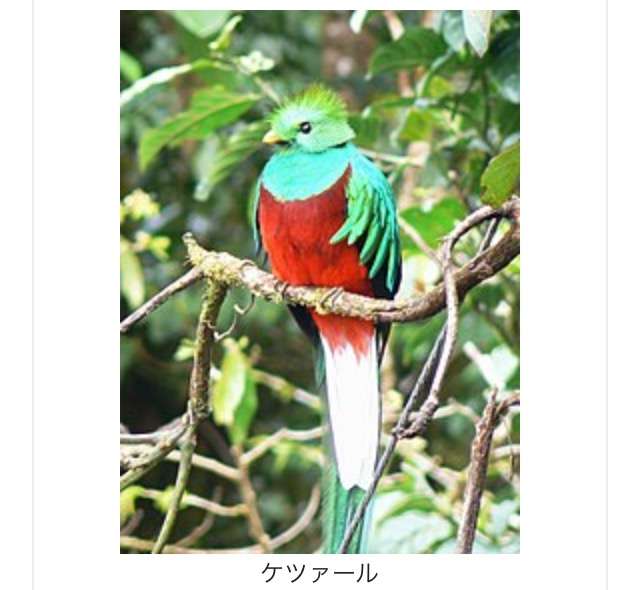 一生に一度は見てみたいもの