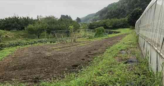 田舎に移り住んで思い知ったこと