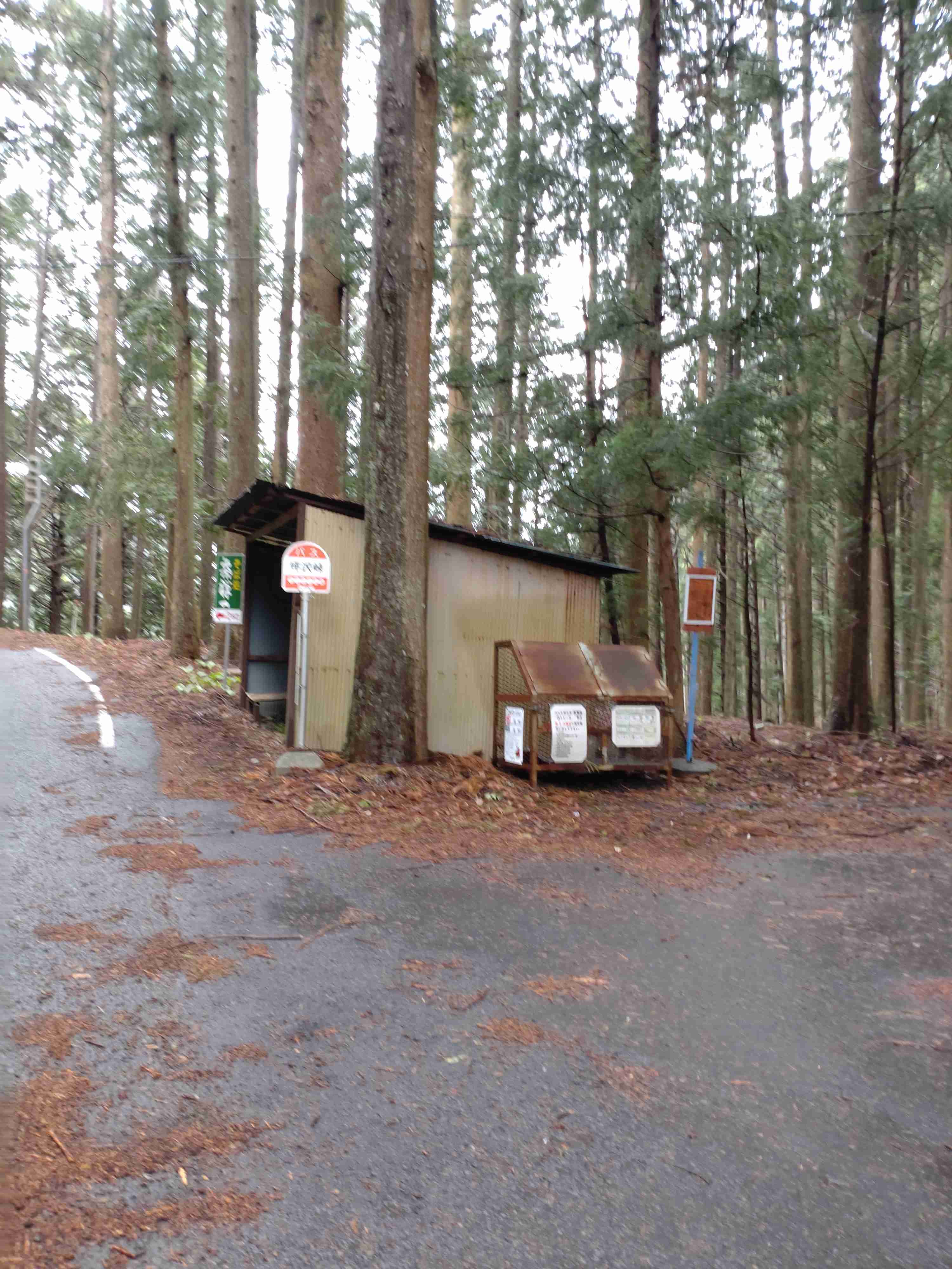 田舎に移り住んで思い知ったこと