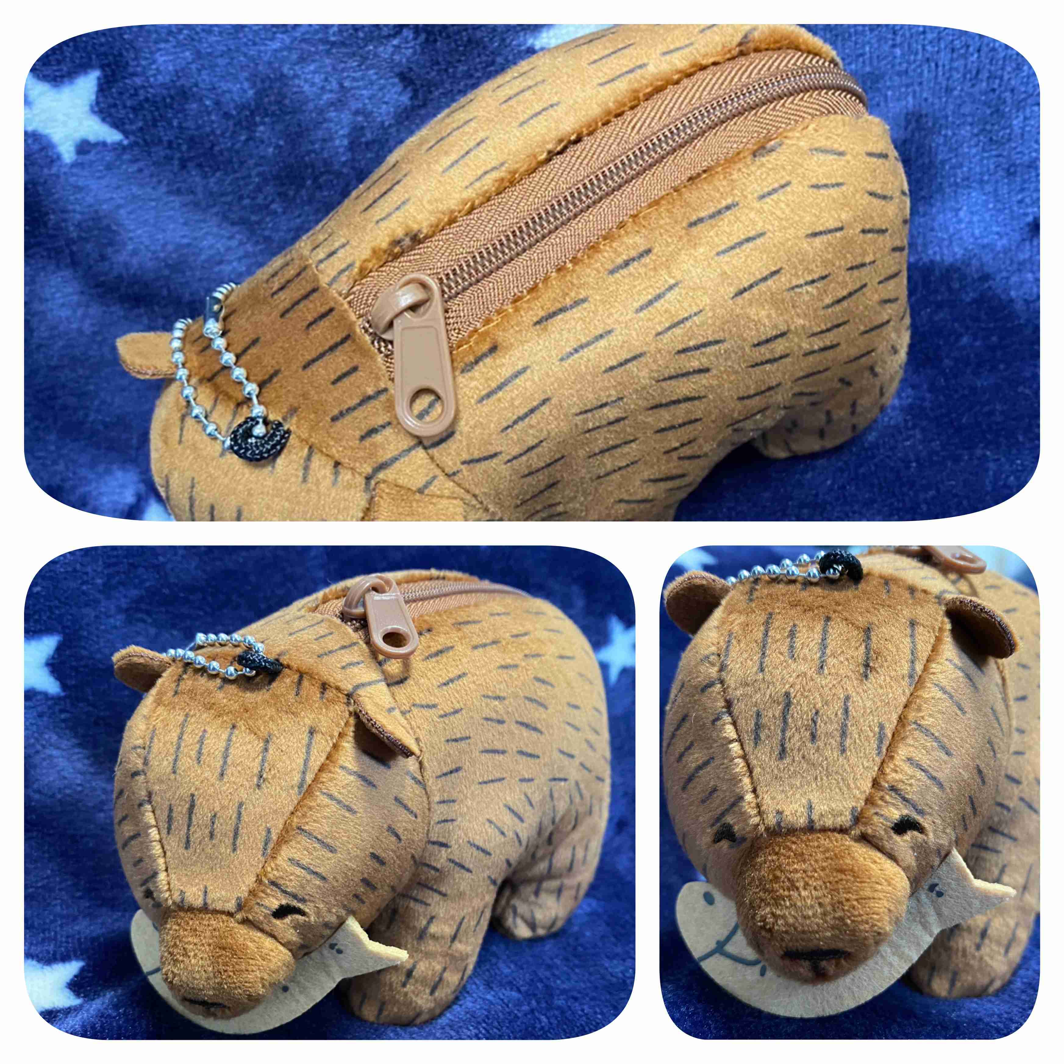 【定期トピ】雑誌付録5・6月号