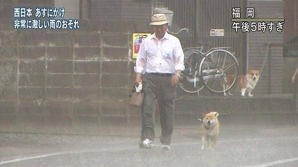 コーギーを愛でるトピ