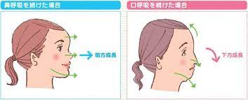 一番羨ましいと思う外見の特徴を一つのみ挙げるとしたら