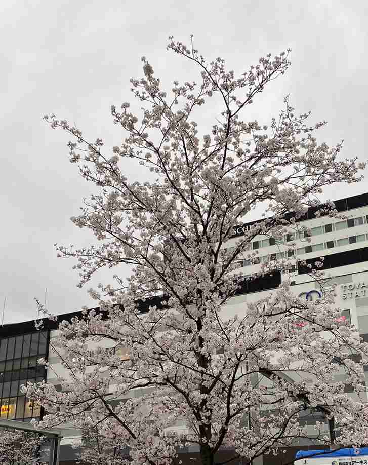 独身ぼっちが行きにくい場所といえば