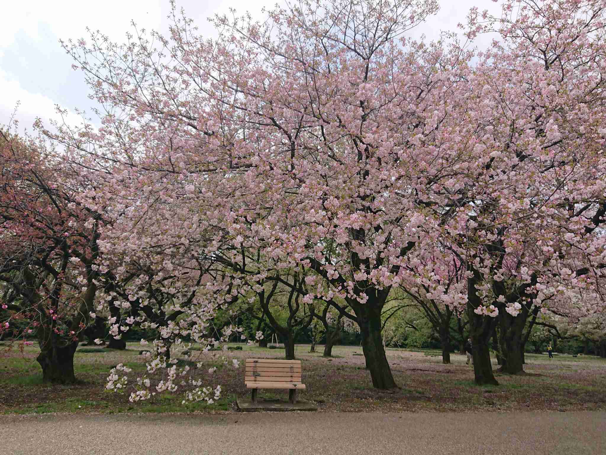 独身ぼっちが行きにくい場所といえば