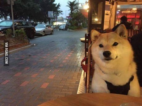 独身ぼっちが行きにくい場所といえば