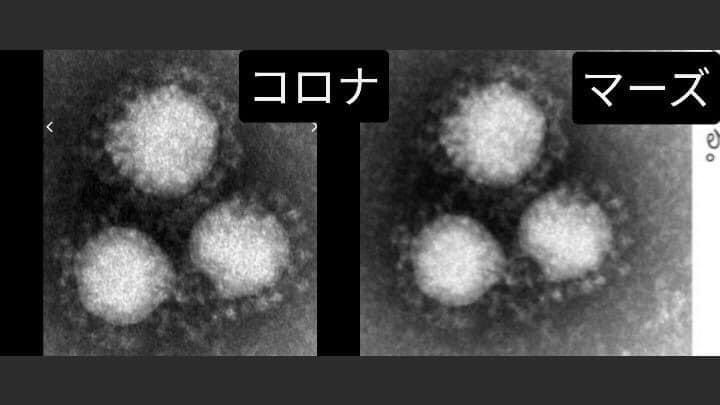 5回目接種｢必要になることも｣　自民党PT提言案　変異株対応のワクチン確保求める