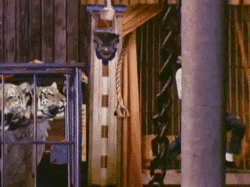 マイケル・ジャクソンで好きな曲を語ろう！