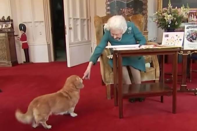 英女王、96歳の誕生日 在位70年、健康不安が影
