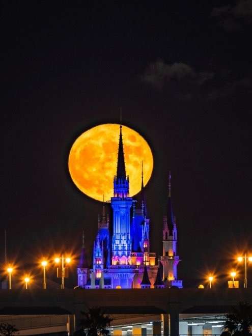 惑星の画像が集まるトピ