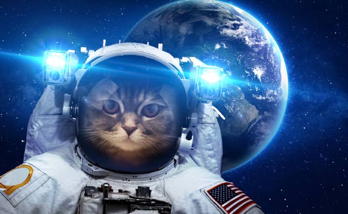 惑星の画像が集まるトピ