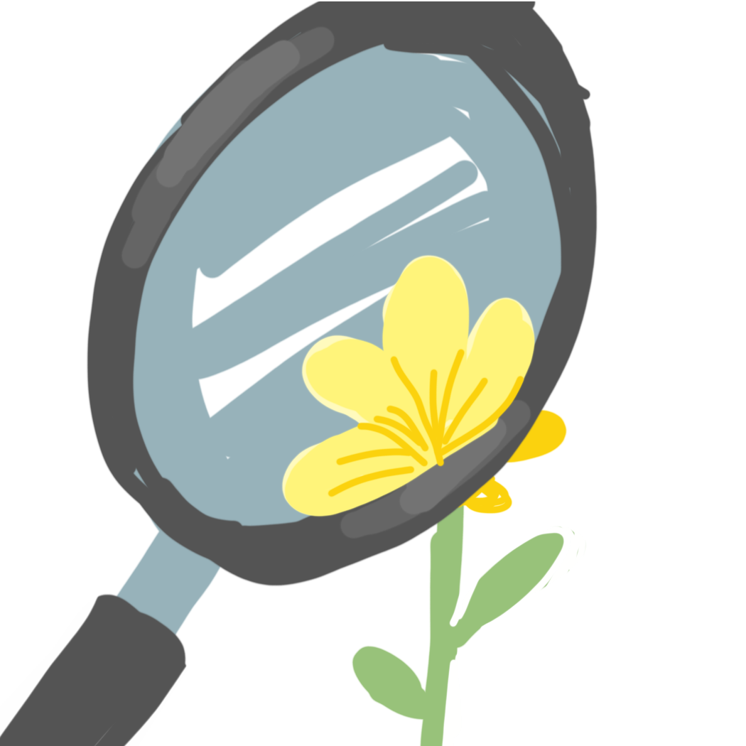 絵でしりとりしよう