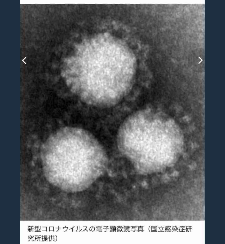 【被害】家族が陰謀論者【縁切れない】