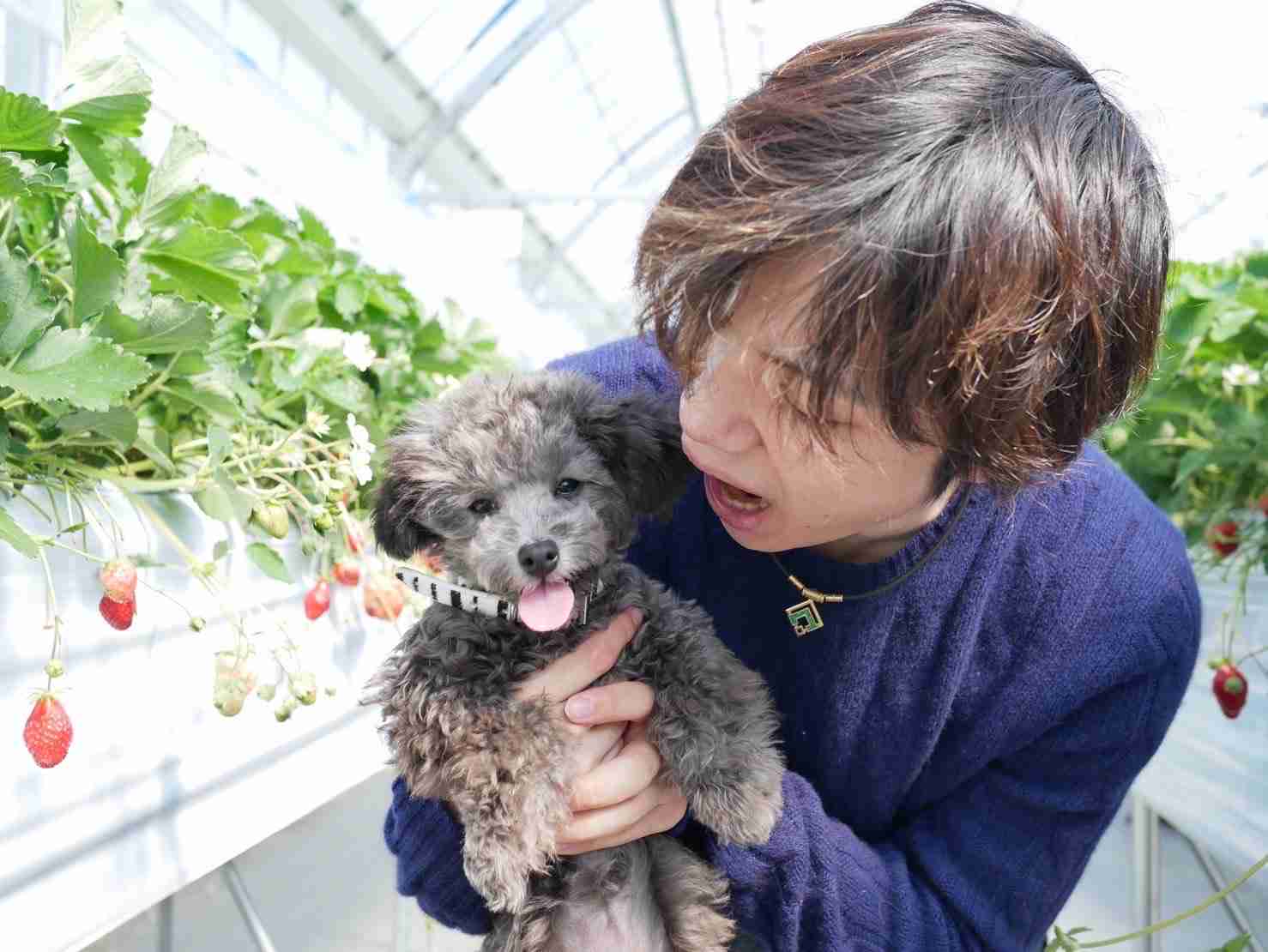 【宇野昌磨選手】ファントピPart.16